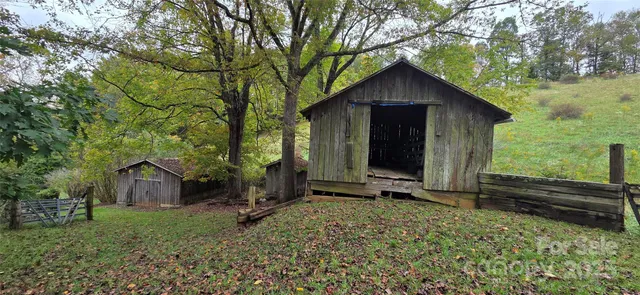 a view of backyard with large trees and wooden fence