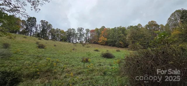 a view of a field with trees in the background