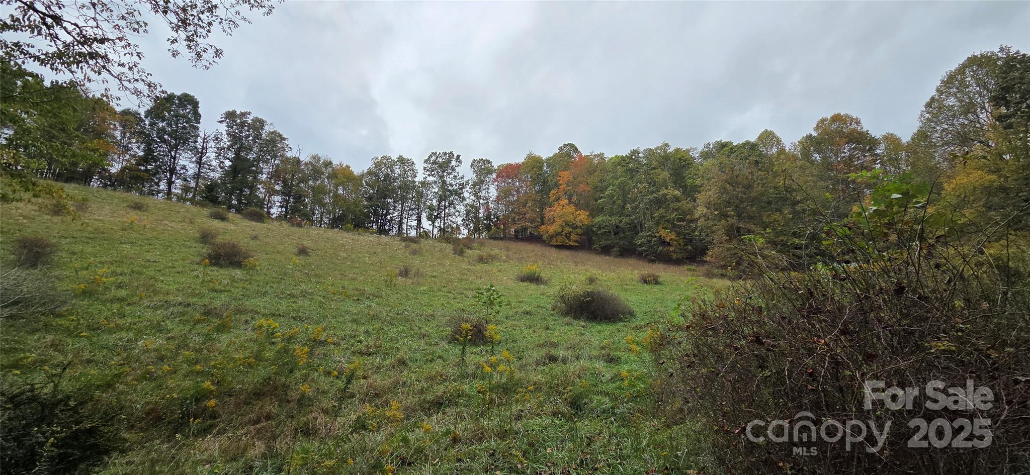 214 Old Dale Road Spruce Pine, NC 28777 - Photo 10 of 42 a view of a field with trees in the background