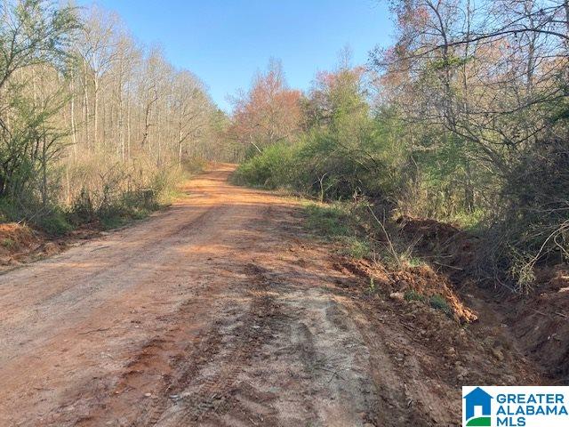 223 County Road, Unit 52 Lineville, AL 36266 - Photo 10 of 15