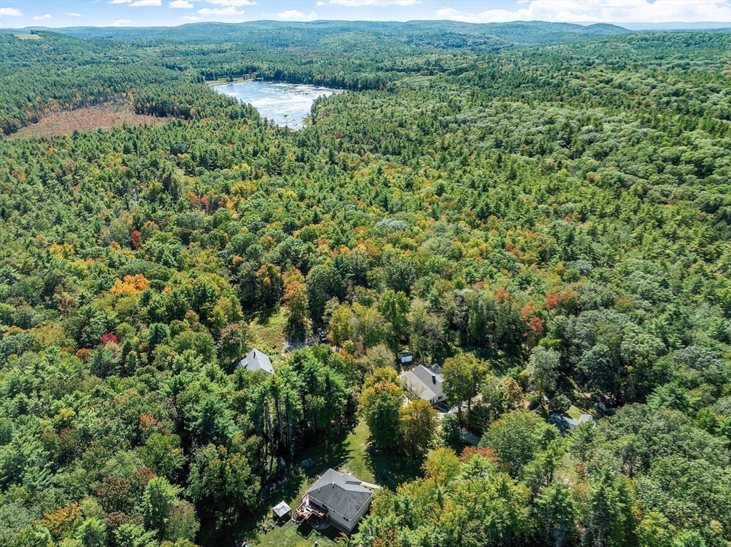 34 Morse Road Royalston, MA 01368 - Photo 12 of 42 a view of a lush green forest with lots of trees