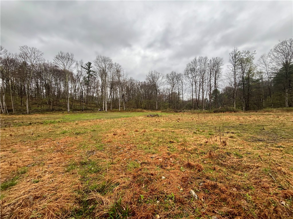 2093 Scott Road Erwin, NY 14858 - Photo 2 of 36 Gallery Image 2