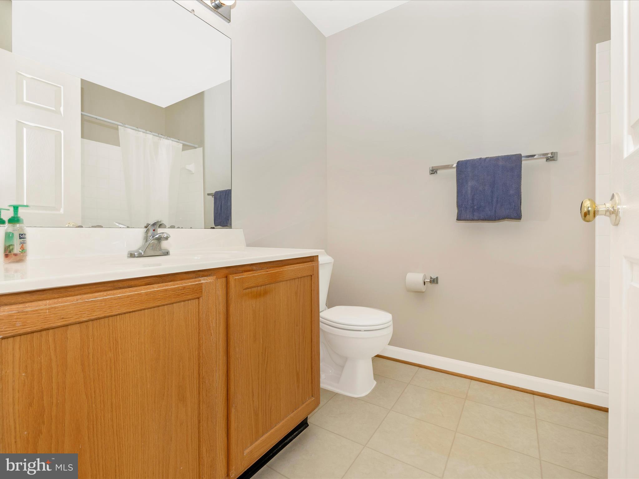 1828 Country Run Way Frederick, MD 21702 - Photo 26 of 58 Primary Bathroom