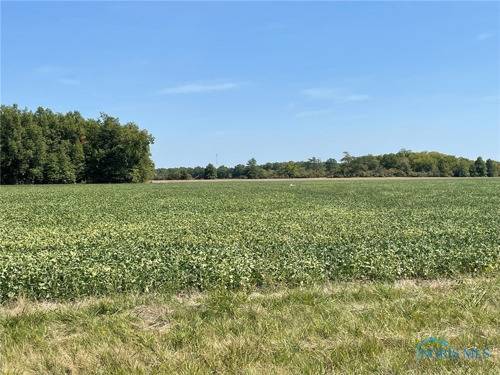 6257 Christy Road Defiance, OH 43512 - Photo 4 of 16 Gallery Image 4