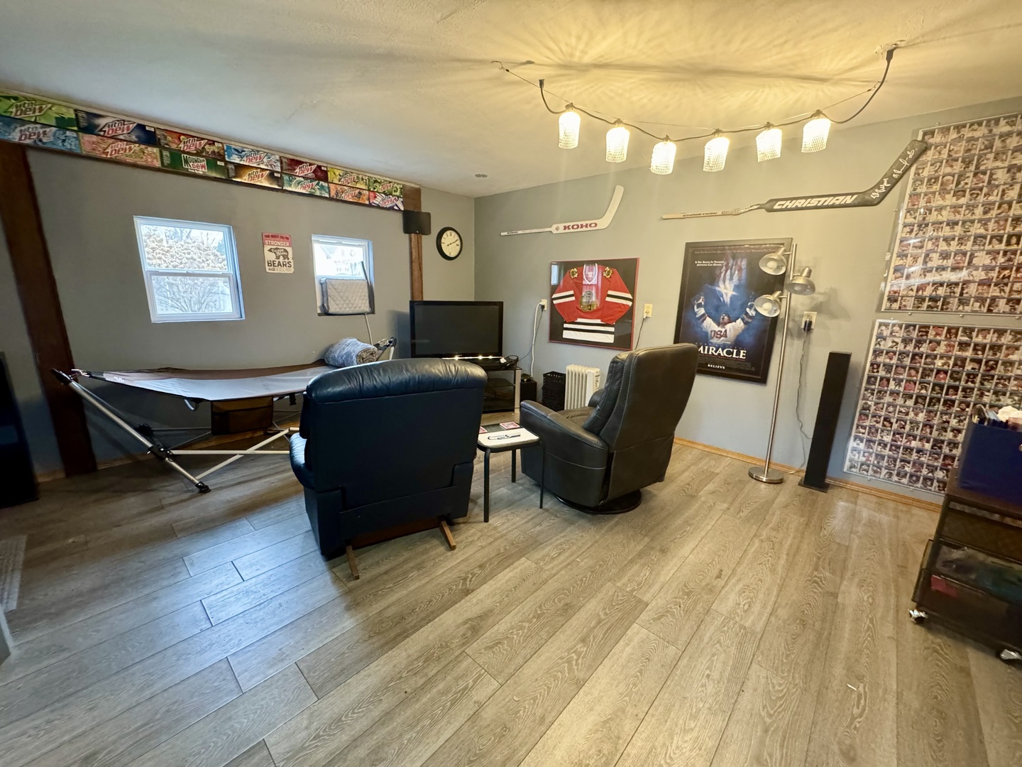 206 East Warren Street Le Roy, IL 61752 - Photo 17 of 18 a living room with furniture and a flat screen tv with wooden floor