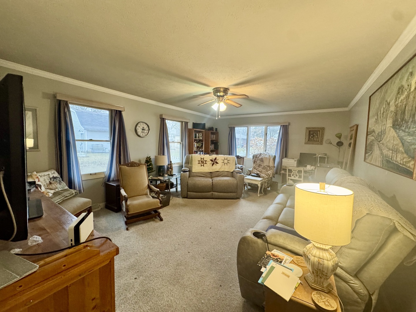 206 East Warren Street Le Roy, IL 61752 - Photo 5 of 18 a living room with furniture gym equipment and a large window