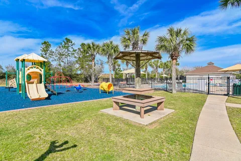 a close up of a plant in a garden