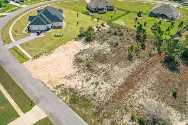 a view of a garden with a pathway