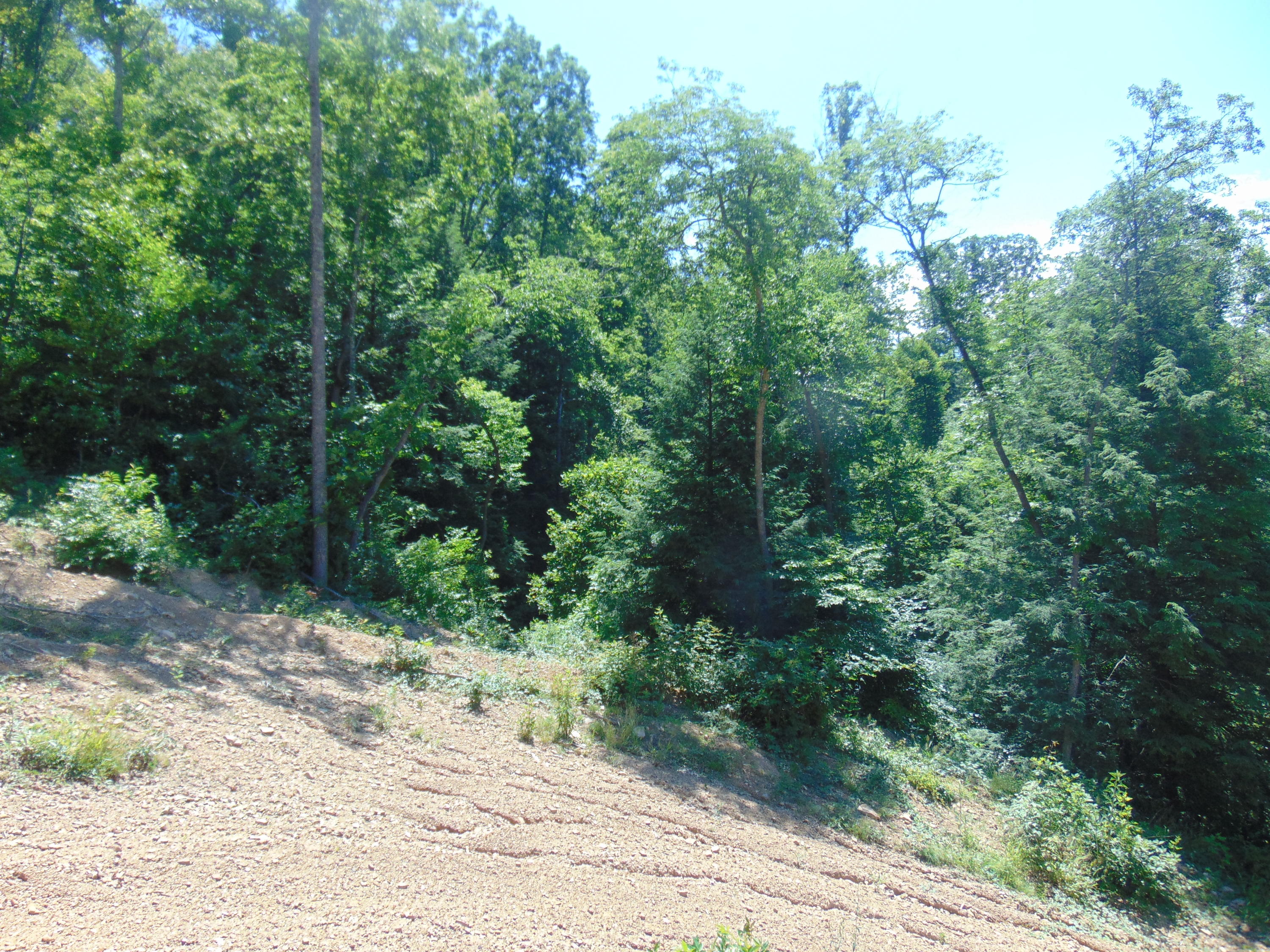 Sims Branch Rd Mount Mount Hope, WV 25880 - Photo 14 of 18 Gallery Image 14