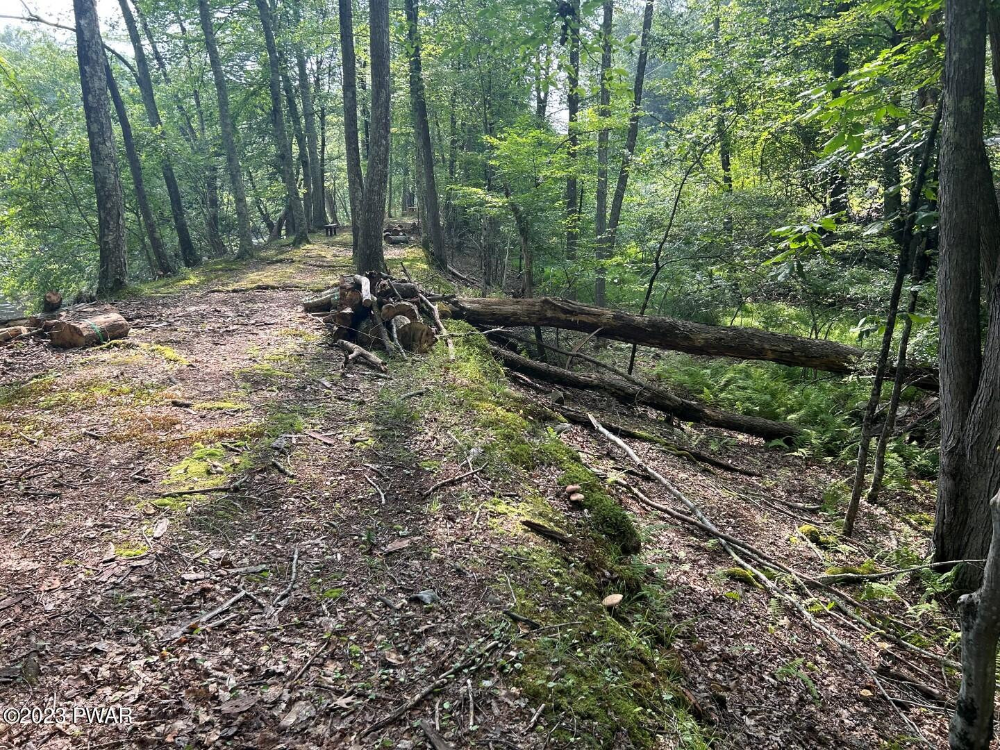 590 Pa Route Greeley, PA 18425 - Photo 55 of 60