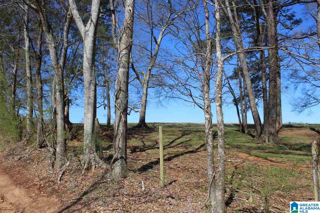 0 Lewis Road Columbiana, AL 35051 - Photo 4 of 10