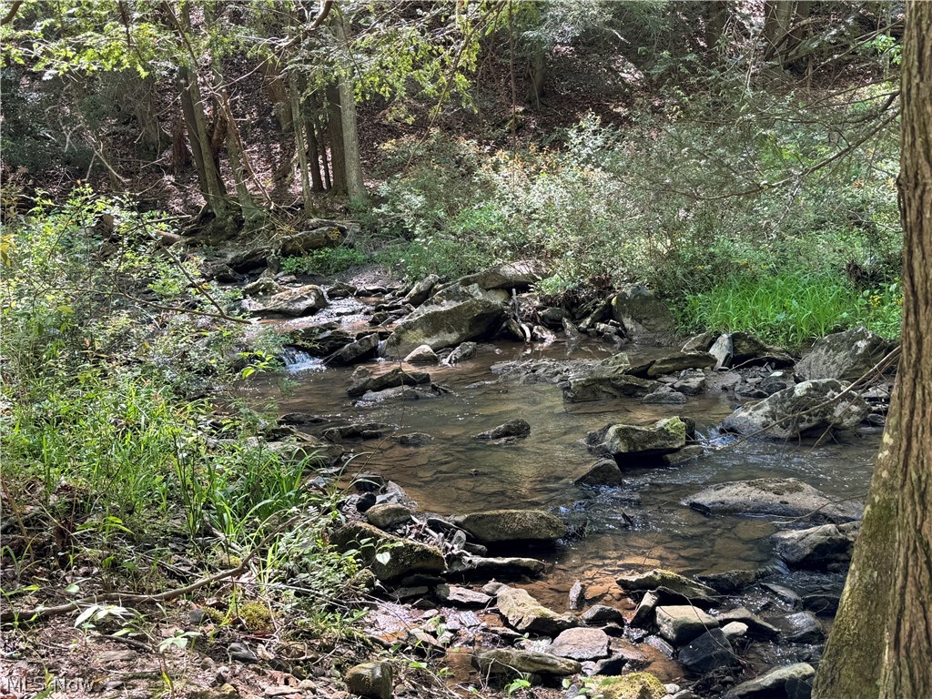 1185 Bens Run Road Sutton, WV 26601 - Photo 12 of 48 View of local wilderness featuring a water view