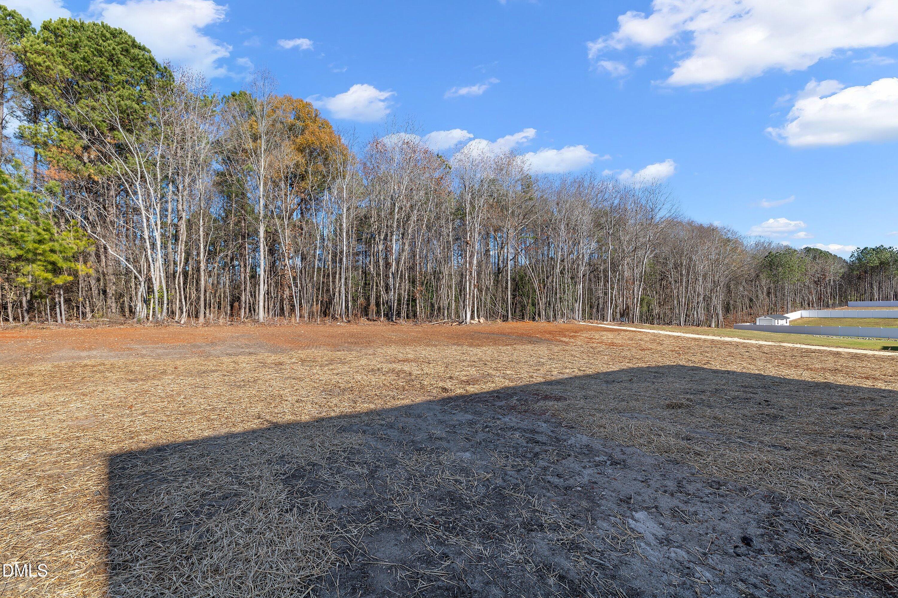 9400 Turkey Way Middlesex, NC 27557 - Photo 24 of 31 a view of dirt yard and mountain view