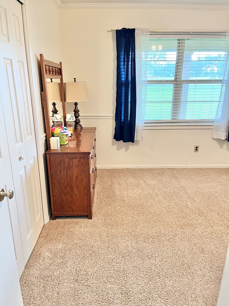 869 Bethlehem Road Midland City, AL 36350 - Photo 25 of 41 Gallery Image 25