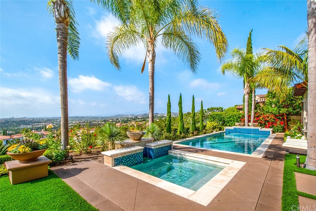 1 Thomas Road Ladera Ranch, CA 92694 - Photo 17 of 25 a view of a yard with palm trees