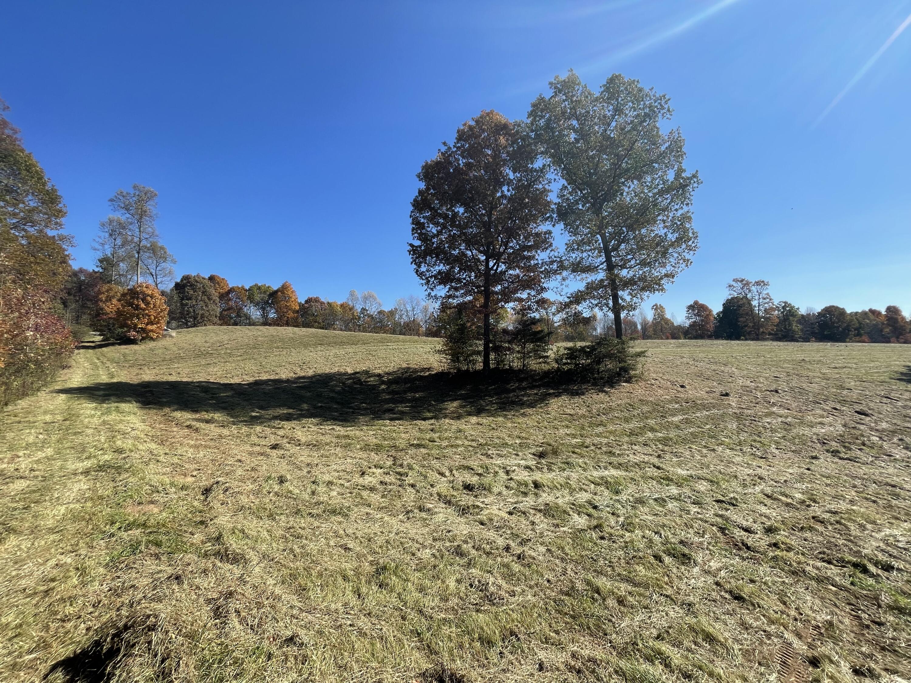 9999 Burnett Road London, KY 40744 - Photo 18 of 44 IMG_4211