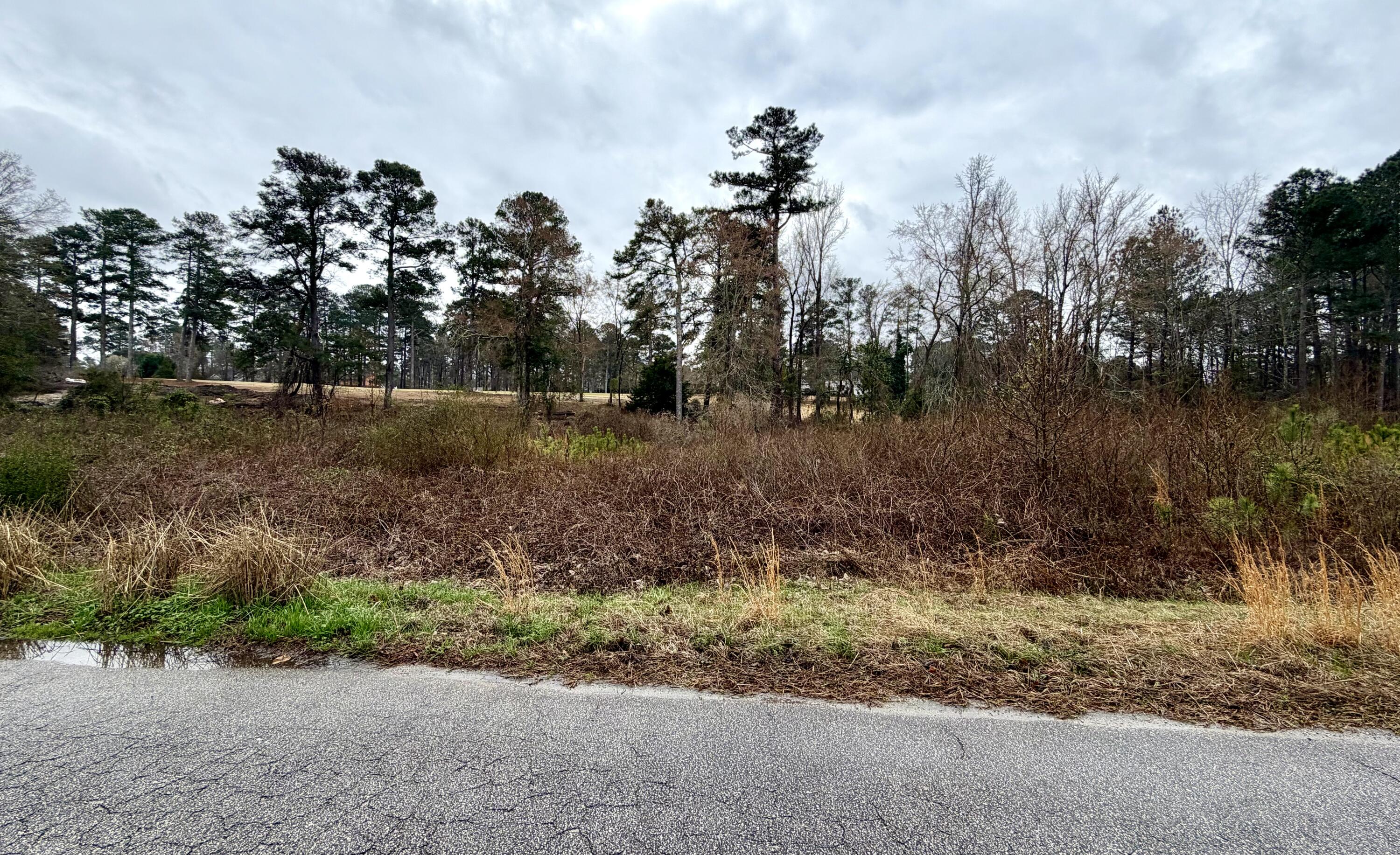 2760 Deer Trail Road Thomson, GA 30824 - Photo 1 of 2 IMG_1574