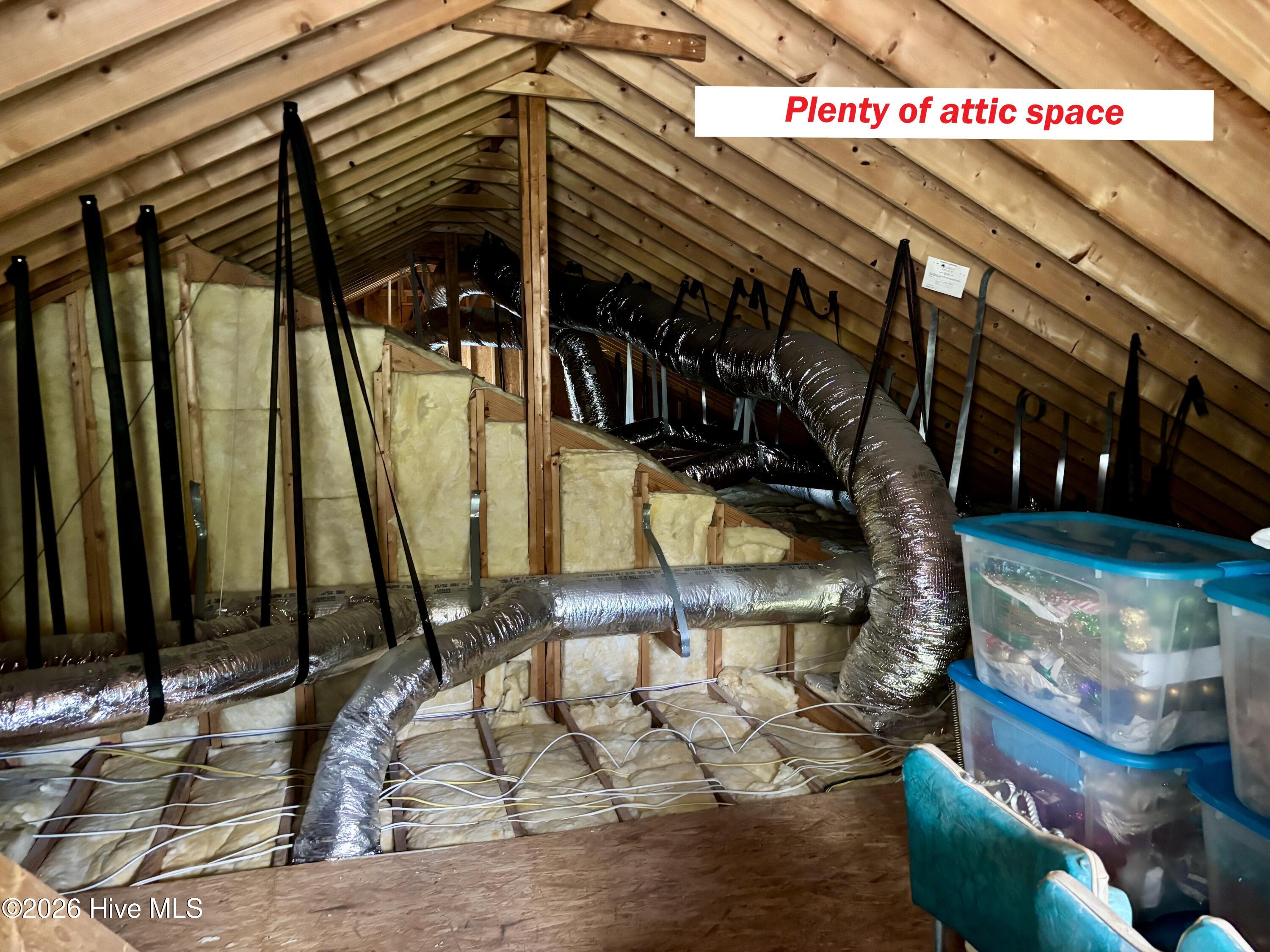 256 Spring Drive Aurora, NC 27806 - Photo 32 of 54 Plenty of attic space