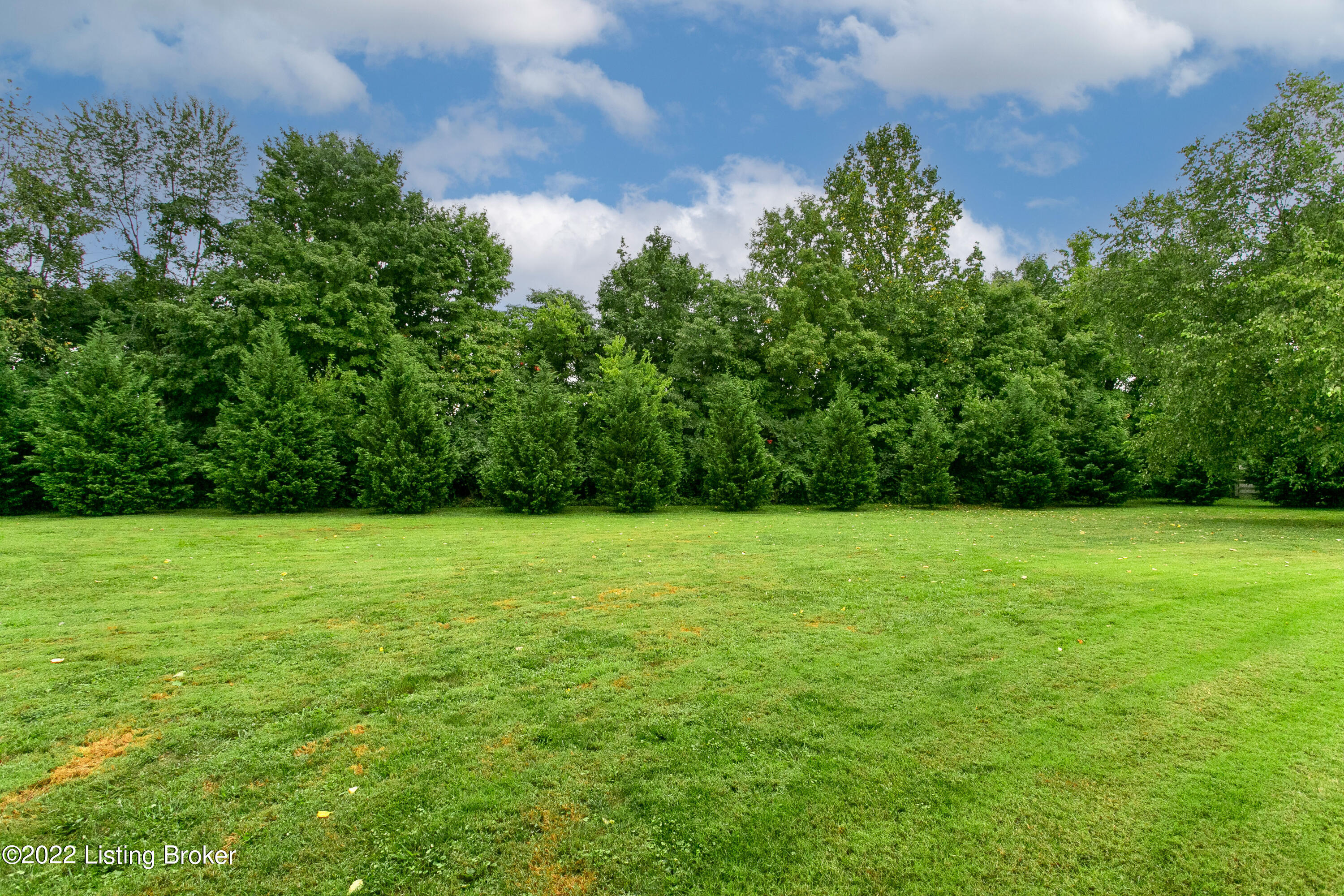 5016 Fox Run Road Buckner, KY 40010 - Photo 49 of 62 50