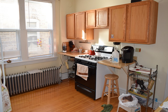 1901 West Warner Avenue Chicago, IL 60613 - Photo 15 of 18