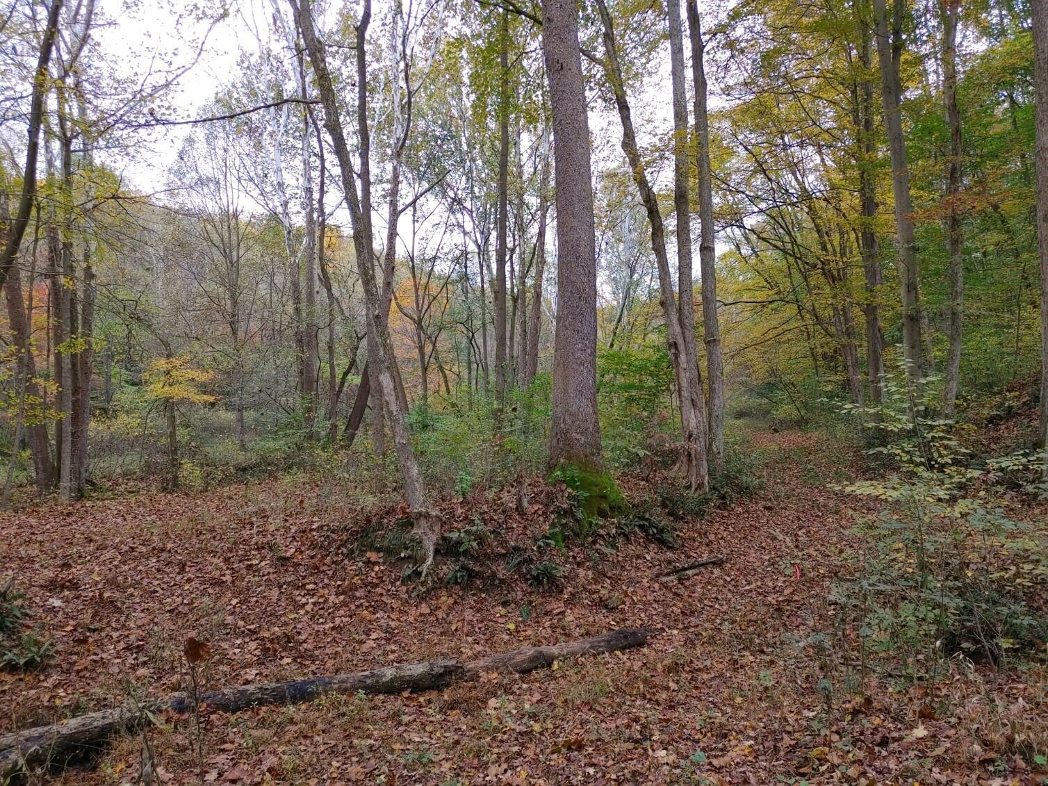 8600 Walnut Dowler Road Logan, OH 43138 - Photo 11 of 24 122