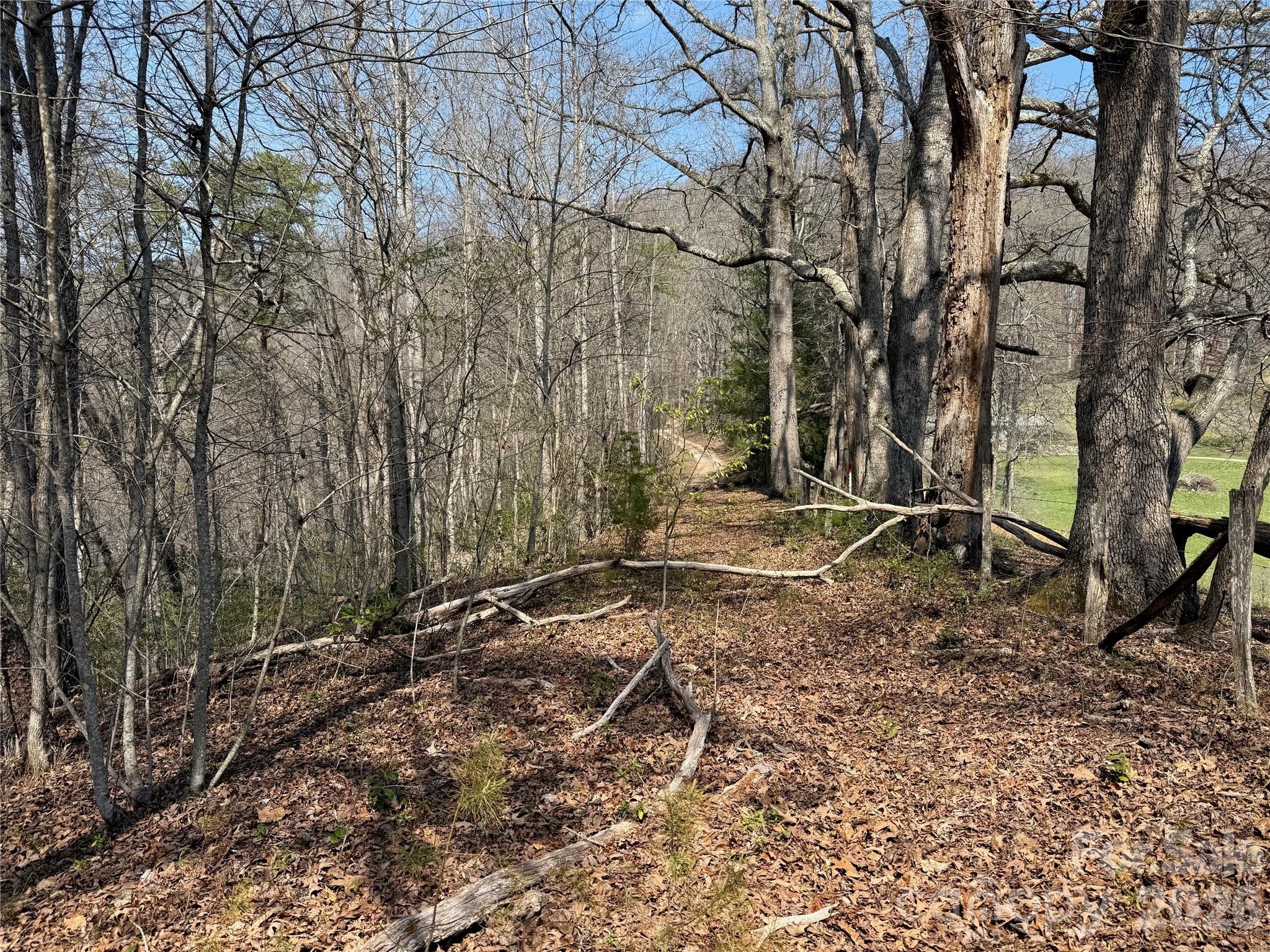 Lot 1-2 Boot Hill Road Whittier, NC 28789 - Photo 3 of 5