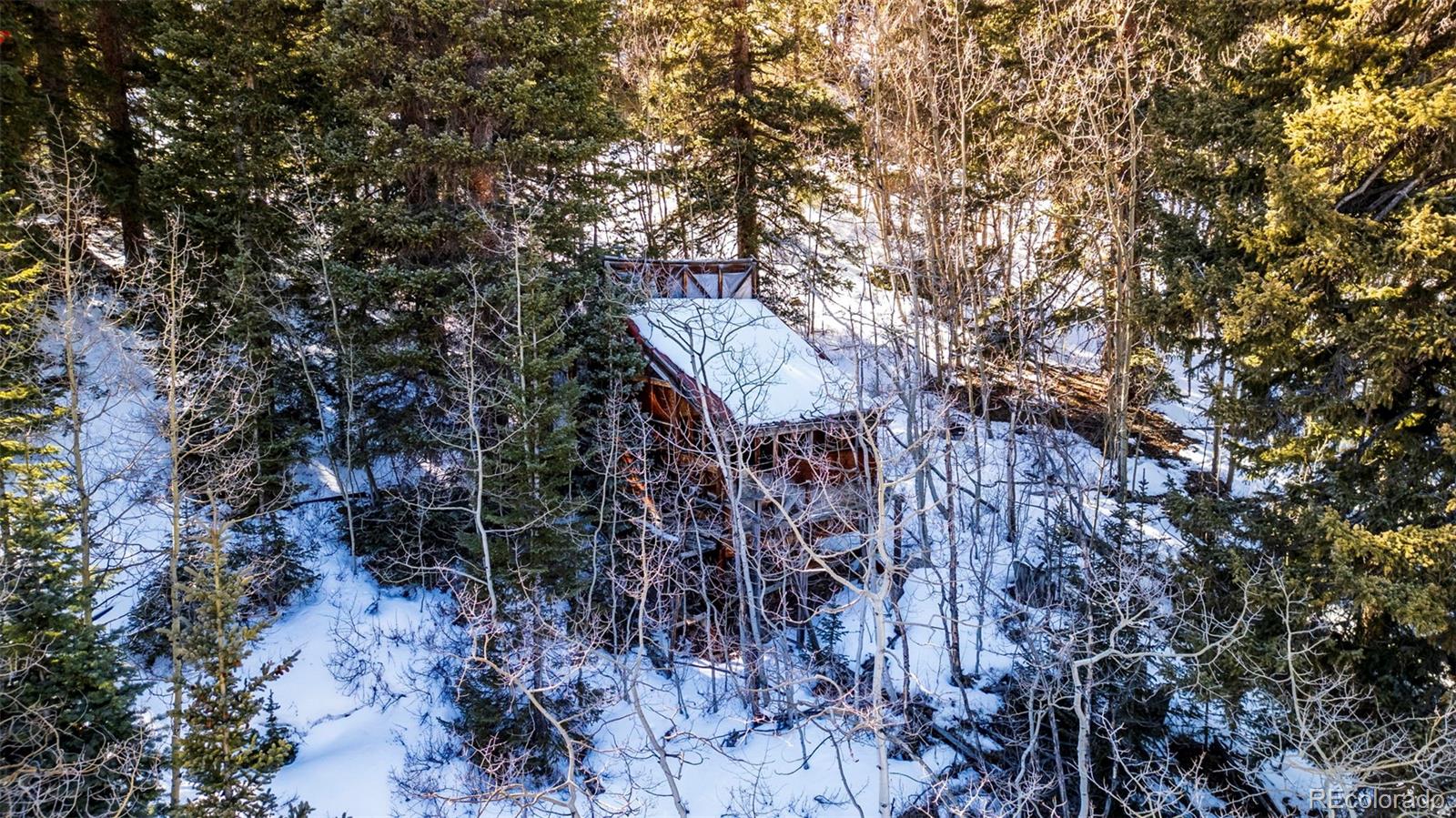 944 Roberts Road Alma, CO 80420 - Photo 2 of 30 a view of a house with a tree
