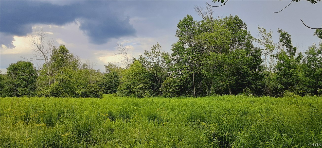 271 Snyder Road Newport, NY 13416 - Photo 19 of 41