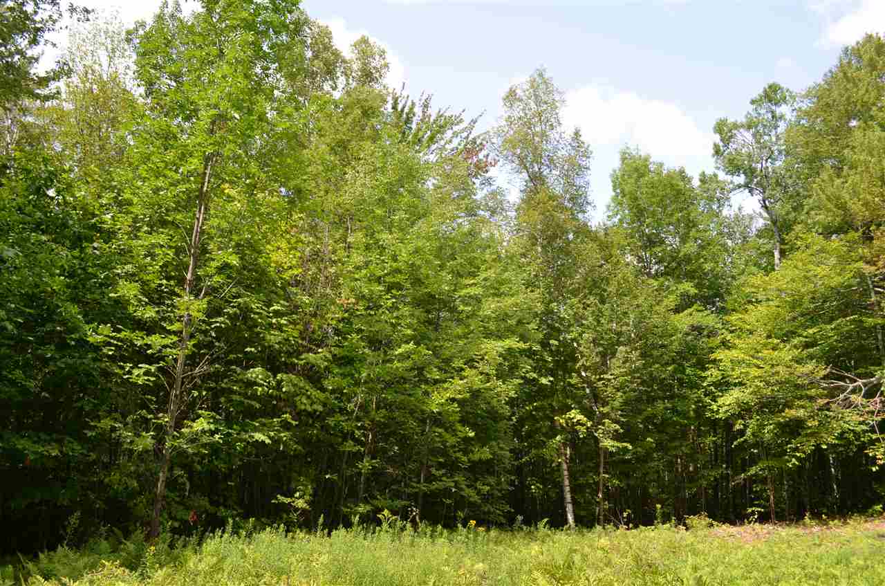 0 Newton Road Proctorsville, VT 05153 - Photo 22 of 33
