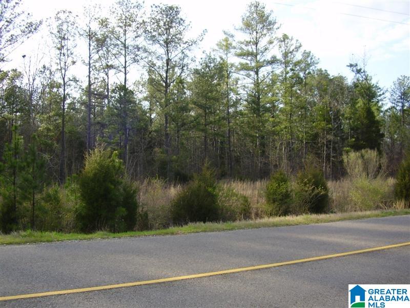 4150 Jackson Trace Road, Unit 4150 Lincoln, AL 35096 - Photo 1 of 7 Gallery Image 1