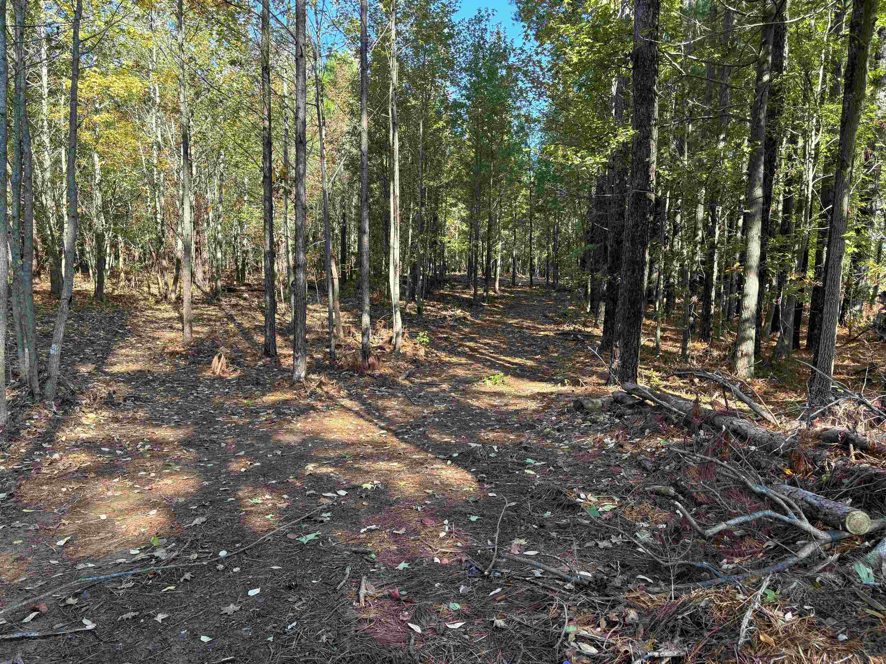 0 Bethuel Road, Unit 13 Millington, TN 38053 - Photo 10 of 15