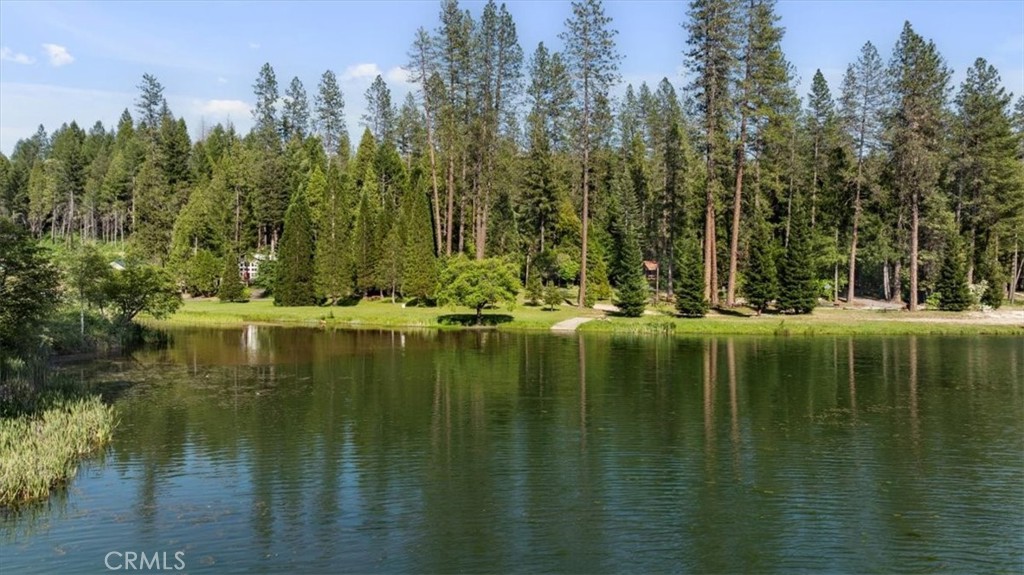 0 Path In The Woods Berry Creek, CA 95916 - Photo 19 of 30 a view of a lake view