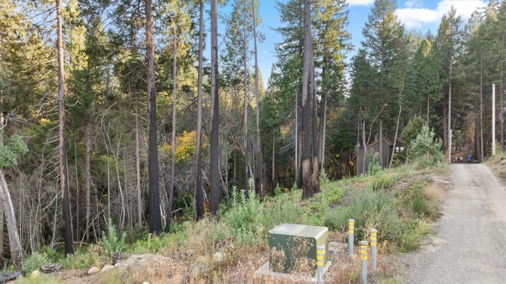 0 Path In The Woods Berry Creek, CA 95916 - Photo 2 of 30 a view of a yard with large trees and plants