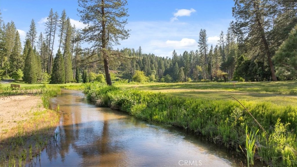 0 Path In The Woods Berry Creek, CA 95916 - Photo 23 of 30 a view of a swimming pool with a yard and trees