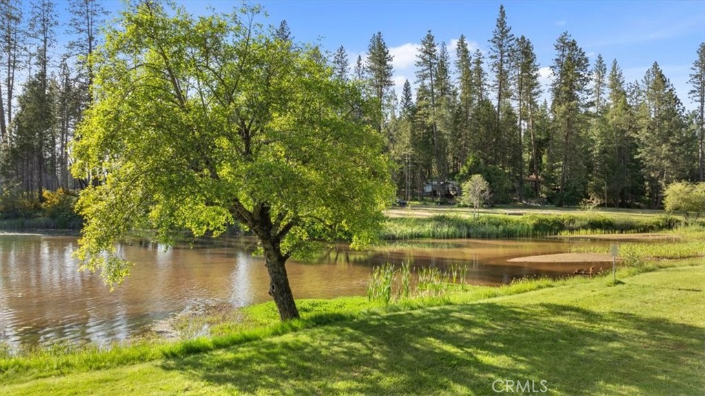 0 Path In The Woods Berry Creek, CA 95916 - Photo 30 of 30 a view of a lake with a yard and trees