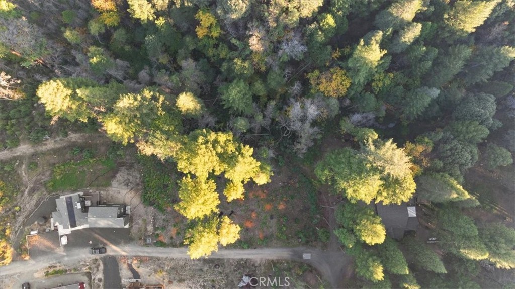 0 Path In The Woods Berry Creek, CA 95916 - Photo 4 of 30 a view of a yard