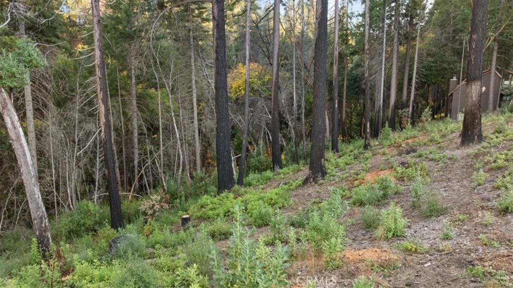 0 Path In The Woods Berry Creek, CA 95916 - Photo 7 of 30 a view of forest