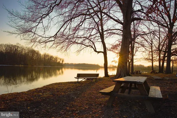 a view of a lake with boats and trees in the background