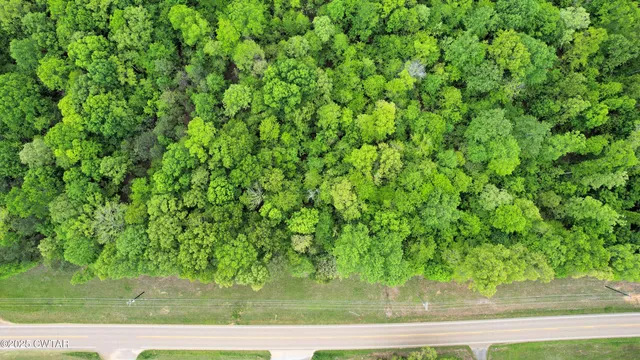 $54,500 | 0 Tn-100 Street, Jacks Creek, TN 38347