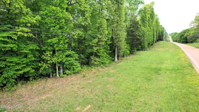 $54,500 | 0 Tn-100 Street, Jacks Creek, TN 38347