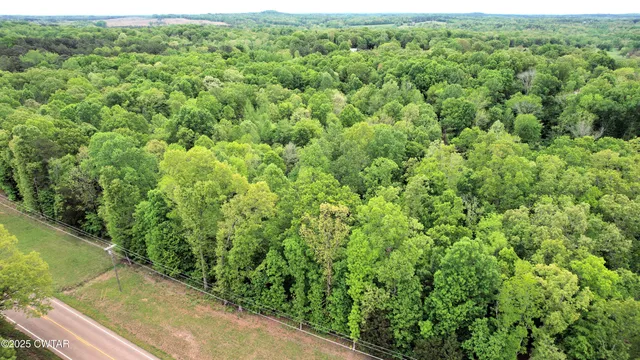 $54,500 | 0 Tn-100 Street, Jacks Creek, TN 38347