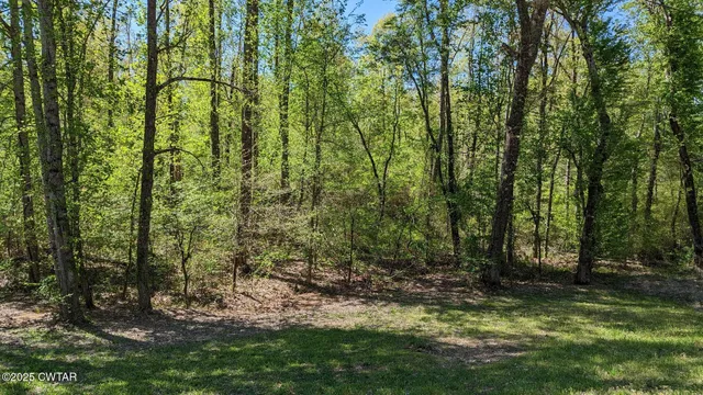 $54,500 | 0 Tn-100 Street, Jacks Creek, TN 38347