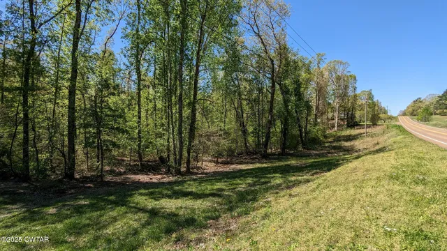 $54,500 | 0 Tn-100 Street, Jacks Creek, TN 38347