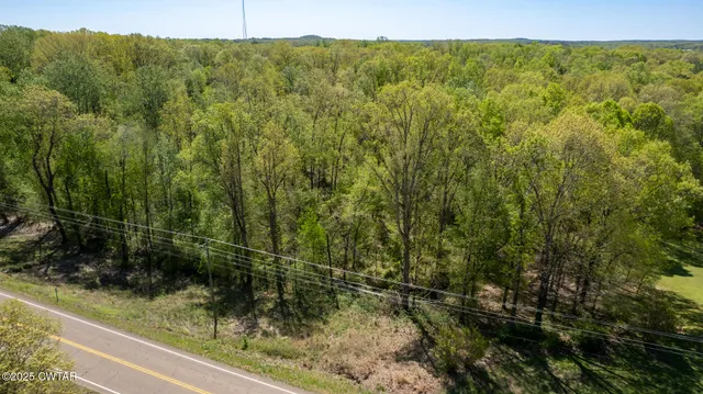 $54,500 | 0 Tn-100 Street, Jacks Creek, TN 38347