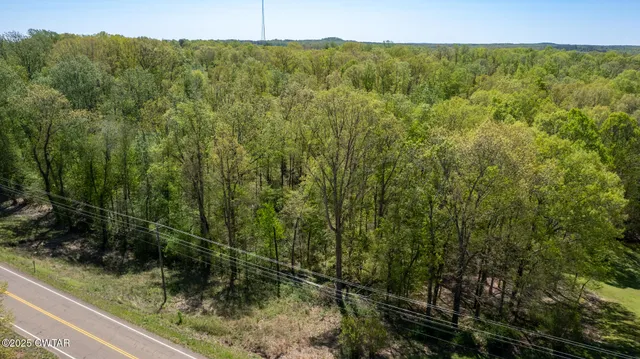 $54,500 | 0 Tn-100 Street, Jacks Creek, TN 38347