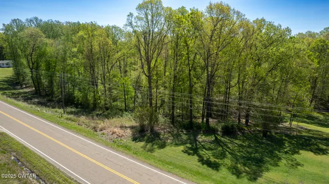 $54,500 | 0 Tn-100 Street, Jacks Creek, TN 38347