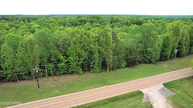 $54,500 | 0 Tn-100 Street, Jacks Creek, TN 38347