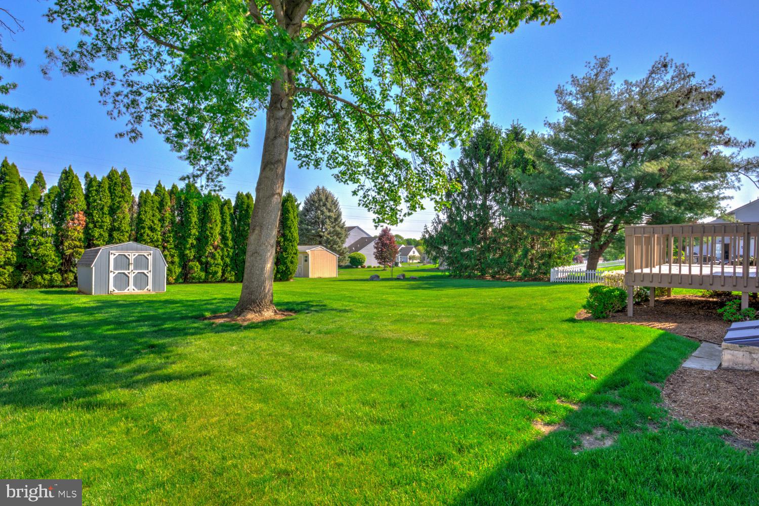 706 Rosemont Drive Lititz, PA 17543 - Photo 8 of 42 Spacious green oasis with serene trees.