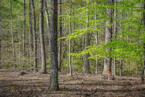 $479,900 | 1219 4 Seasons Road, Smithville, TN 37166