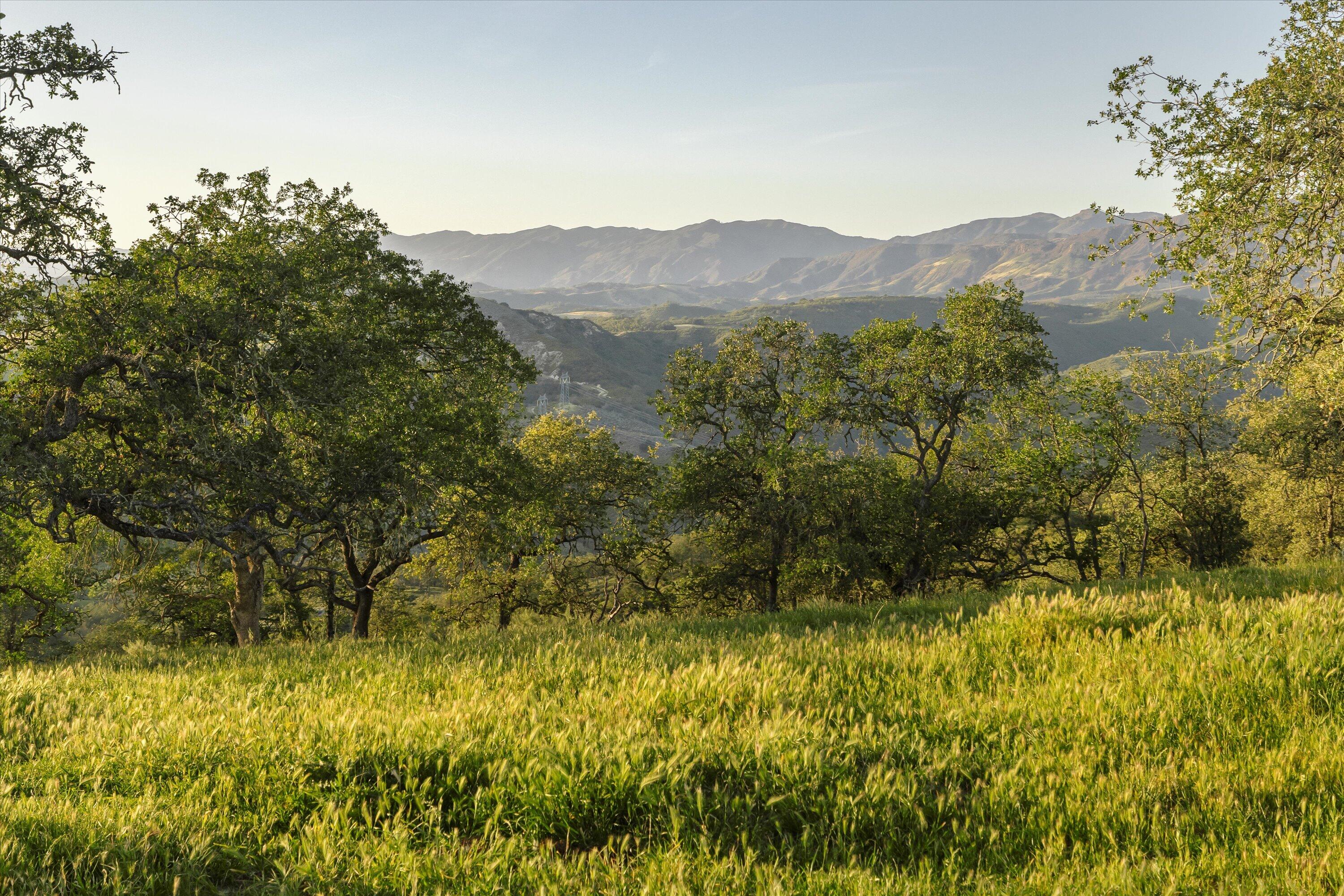 12707 Huasna Road Arroyo Grande, CA 93420 - Photo 66 of 77 a view of a lush green forest with mountains in the background